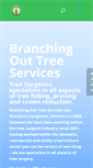 Mobile Screenshot of branchingouttreeservices.com